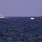 dc1-5uo8aur7vlz1favr16ue_original.jpg