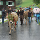 DSC_0009.JPG