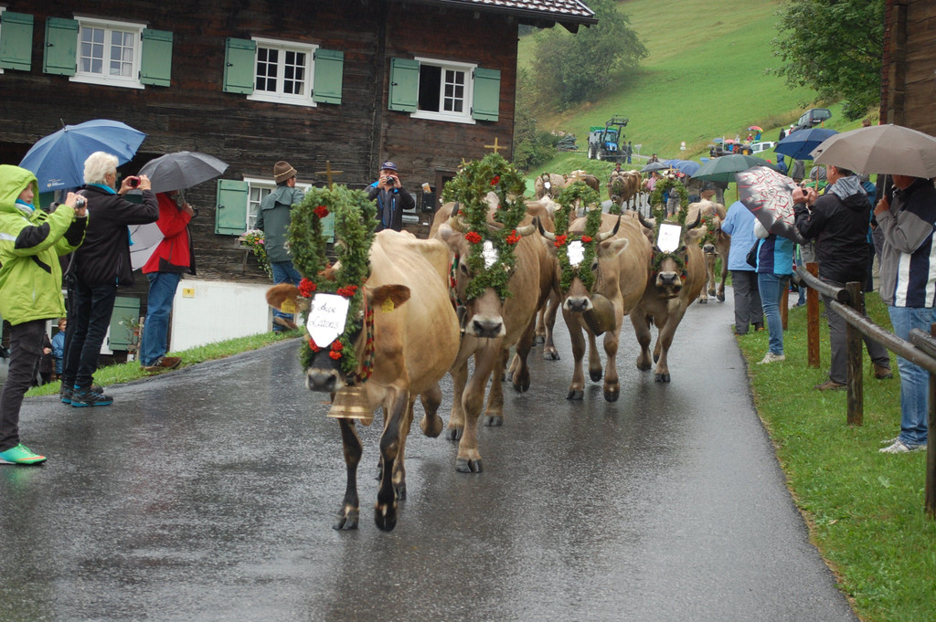 DSC_0018.JPG