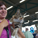 Internationale Katzenausstellung in Salzburg