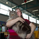 20150905fmt_int_katzenausstellung_mw-10.jpg