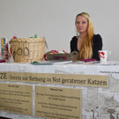 20150905fmt_int_katzenausstellung_mw-13.jpg