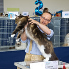20150905fmt_int_katzenausstellung_mw-18.jpg