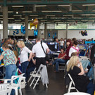 20150905fmt_int_katzenausstellung_mw-23.jpg