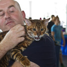 20150905fmt_int_katzenausstellung_mw-25.jpg