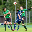 file6m4voepwsx5dn1v2k31.jpg