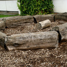 DSC00018.JPG
