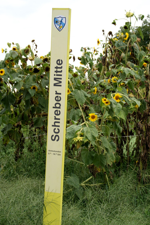 Die Wanderung ging durch die Schreberg__rten.JPG