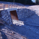 2015_Mustergielbach_023.jpg