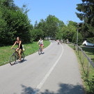 IMG_3711.JPG