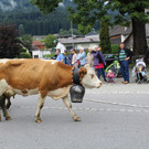 IMG_4466.JPG