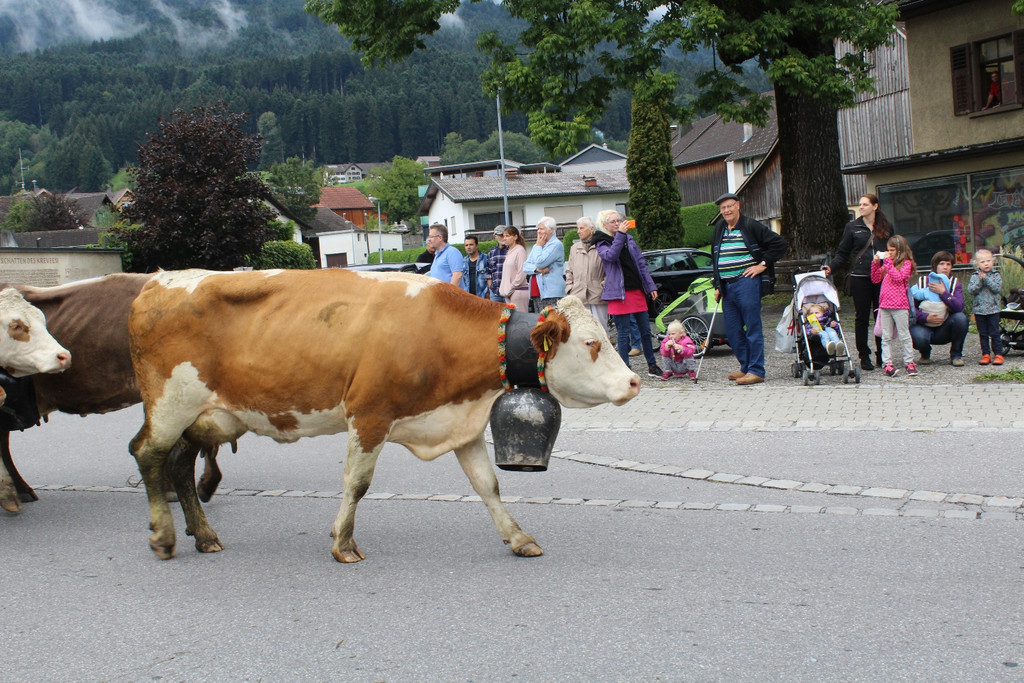 IMG_4466a.jpg