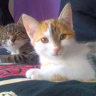 Penny & Wendy