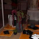 IMG_1653.JPG