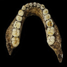 IBD0648-20150910.jpg