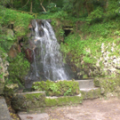 CIMG0650.JPG