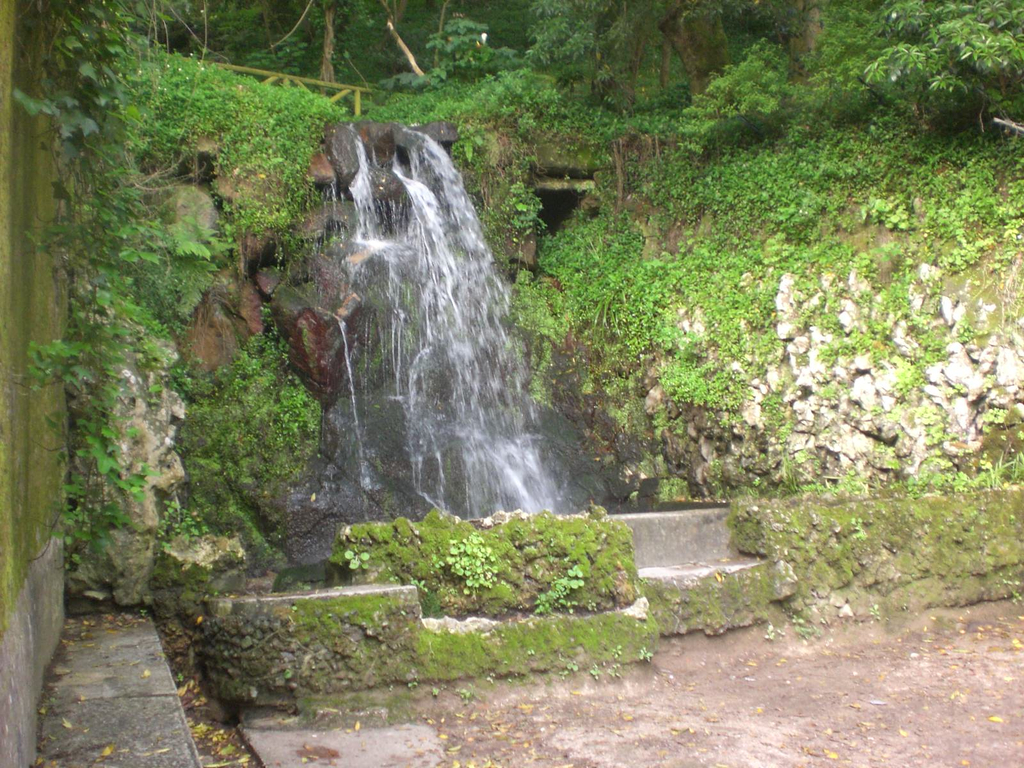 CIMG0650.JPG