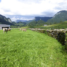 P1020104.jpg