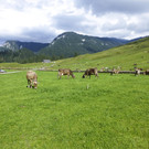 P1020106.jpg