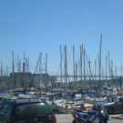CIMG0733.JPG