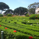 CIMG0774.JPG
