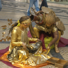 CIMG0782.JPG