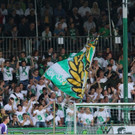 76.jpg