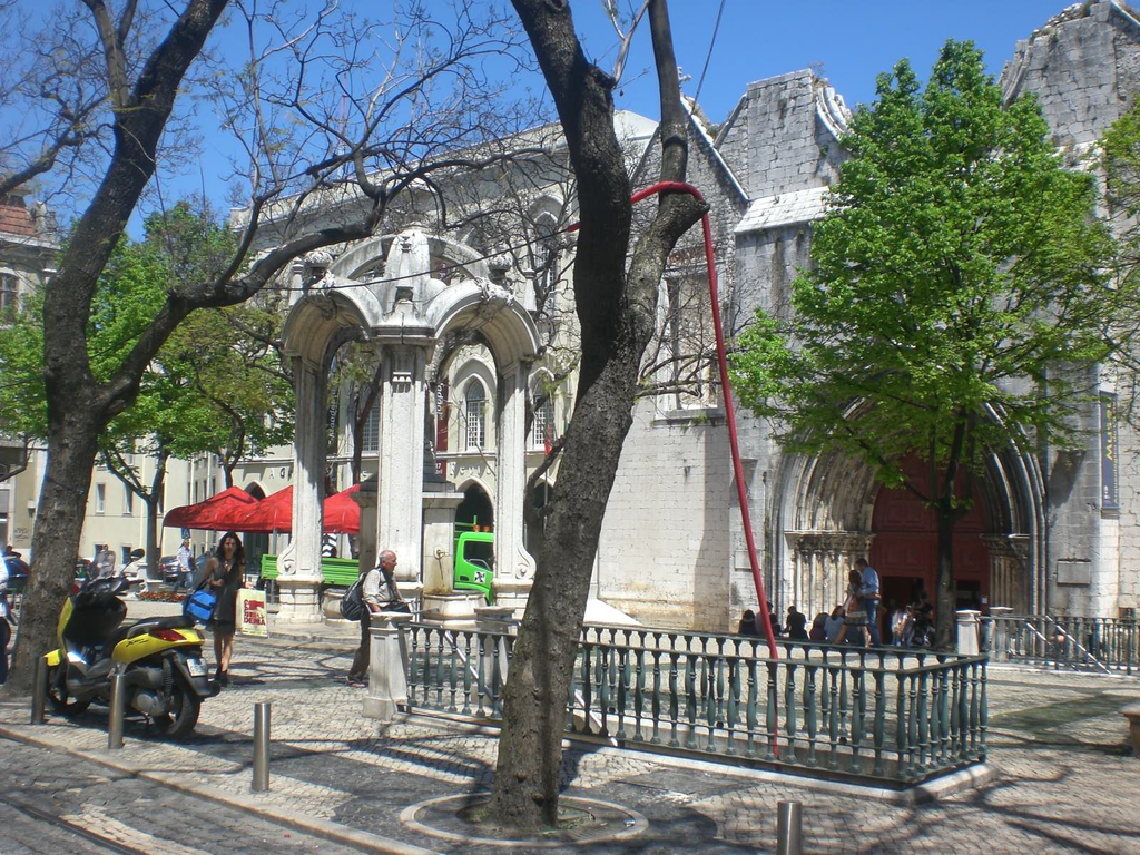CIMG0864.JPG