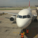 CIMG0894.JPG