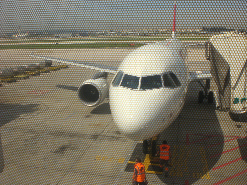 CIMG0894.JPG