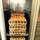 IMG-20150912-WA0007.jpg