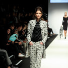 IMG _148 of 374_.JPG