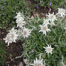DSCN0729.jpg
