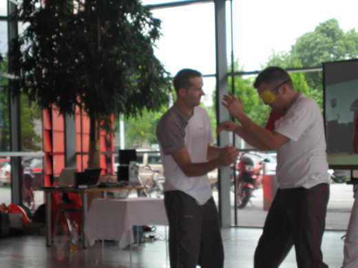 IMG_0821_jpg-1275317865