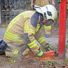 Bilder vom kuriosen Einsatz