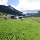 P1020105.jpg