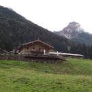 mini-20150904_110346.jpg