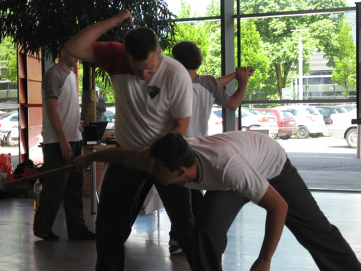 IMG_0811_jpg-1275318963