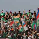 74.jpg