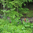 normal_31052010unfallst2101rwaktivnews07.jpg