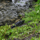 normal_31052010unfallst2101rwaktivnews46.jpg