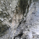 Rappenlochwanderung des Seniorenringes Club 50  Lustenau