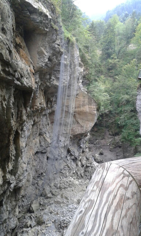 Bild 4         Rappenlochwanderung  01_09_2015.jpg