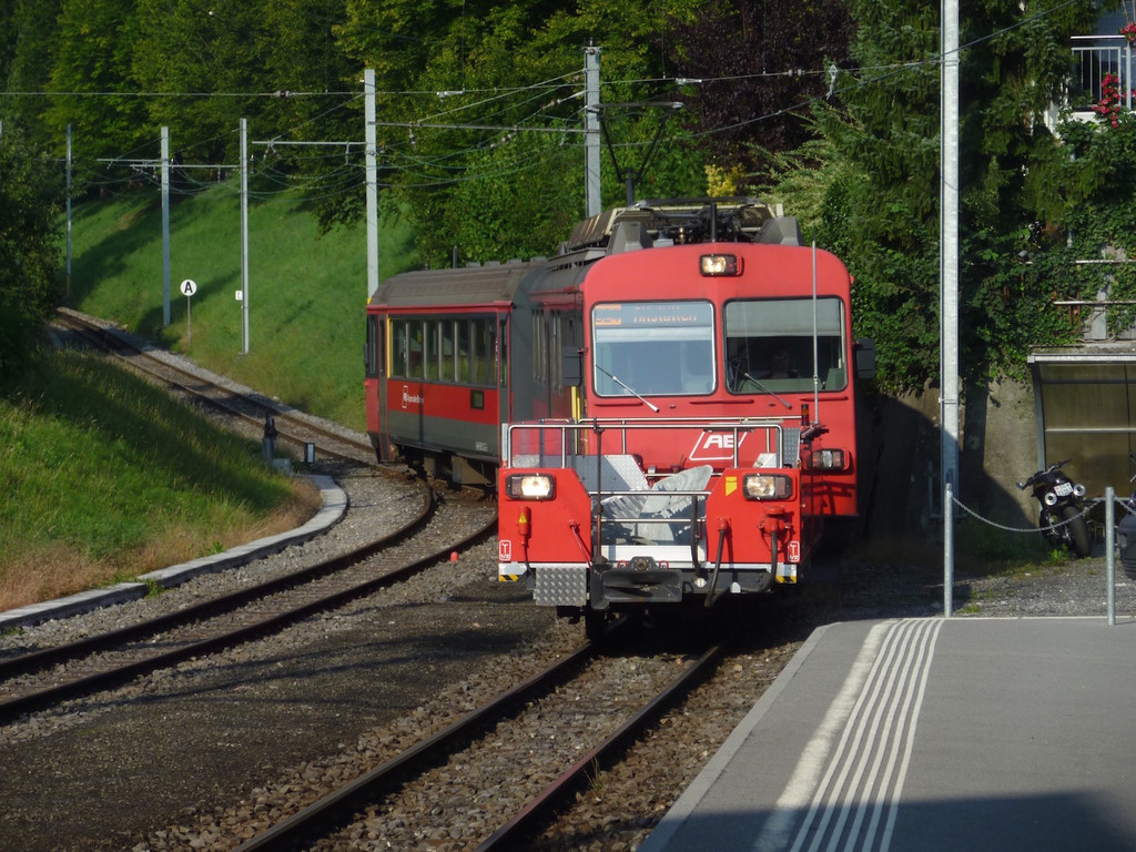 P1030265.jpg