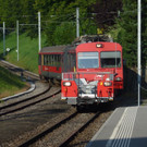 P1030265.jpg