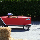 084-IMG_7222.JPG