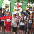 IMG_3519_JPG-1275368943