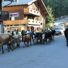 IMG_1755.JPG