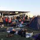 IBD0393-20150914.jpg