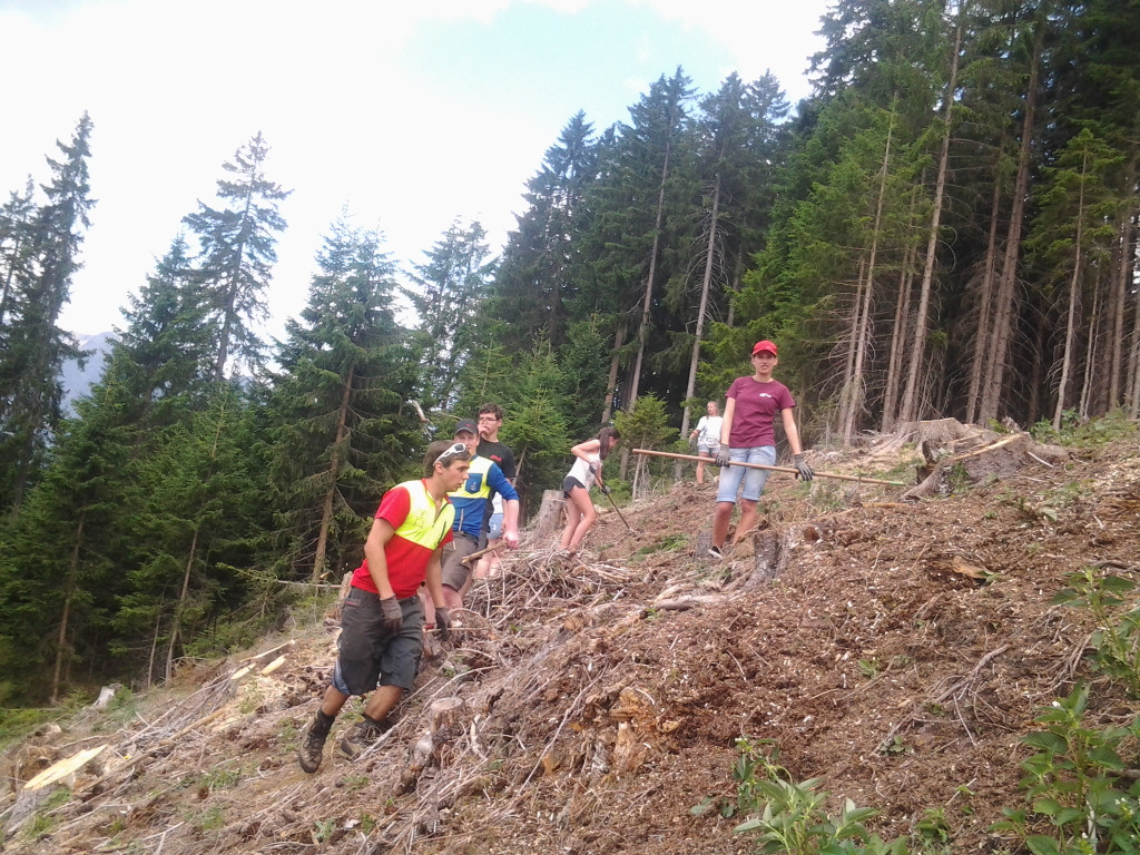 2015-07-11 10_45_21.jpg